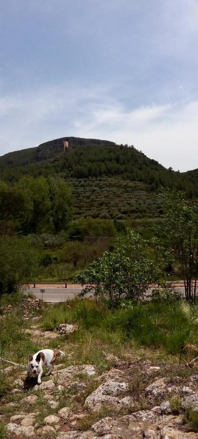 La Viajera Espadan Algimia de Almonacid ภายนอก รูปภาพ